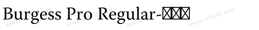 Burgess Pro Regular字体转换